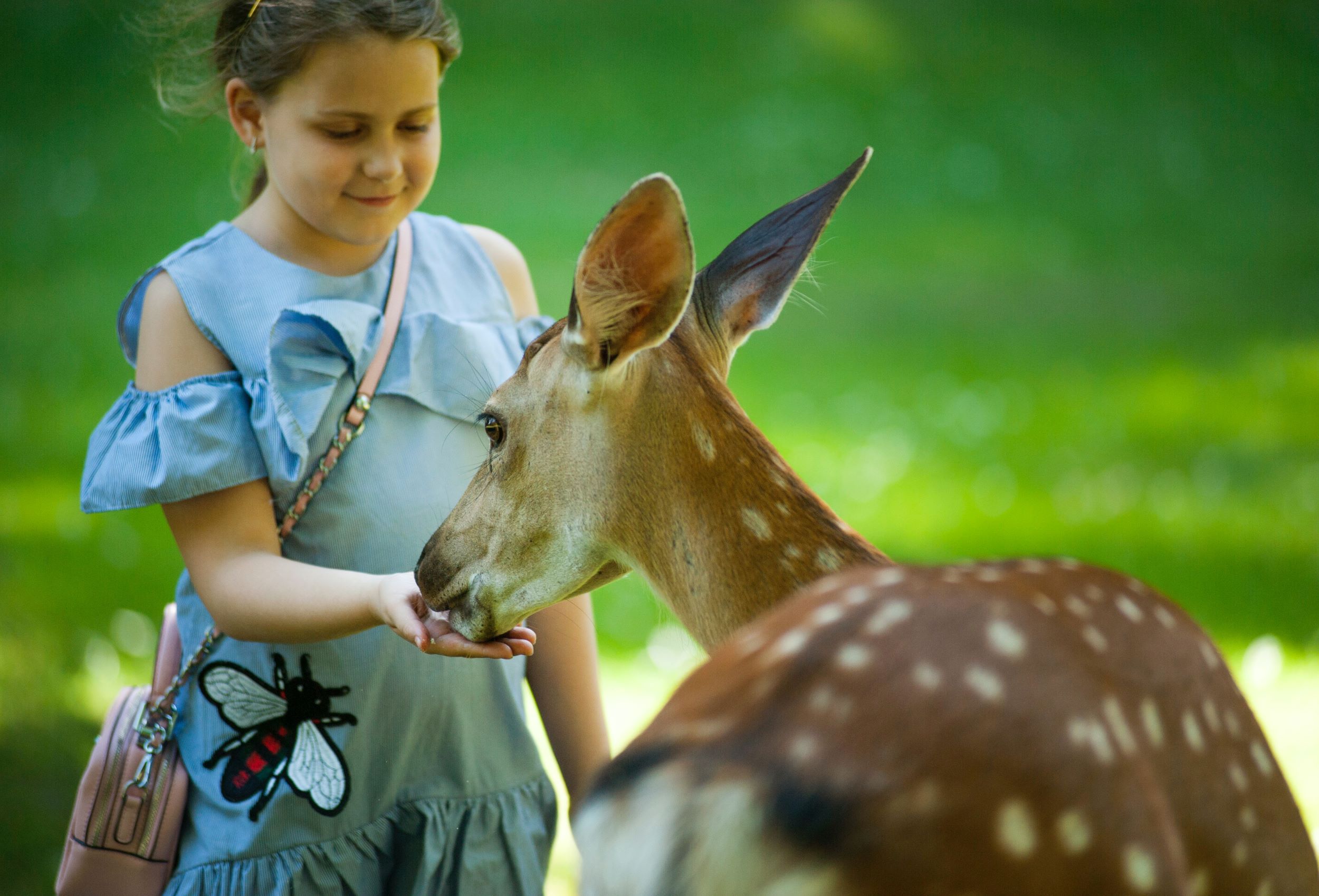 Tierpark